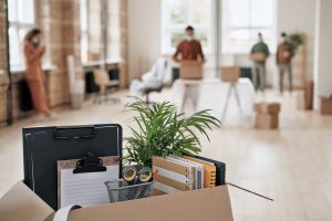 Dublin Removals A cardboard box with a plant in the middle of a room.